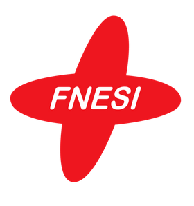 logo_FNESI.png